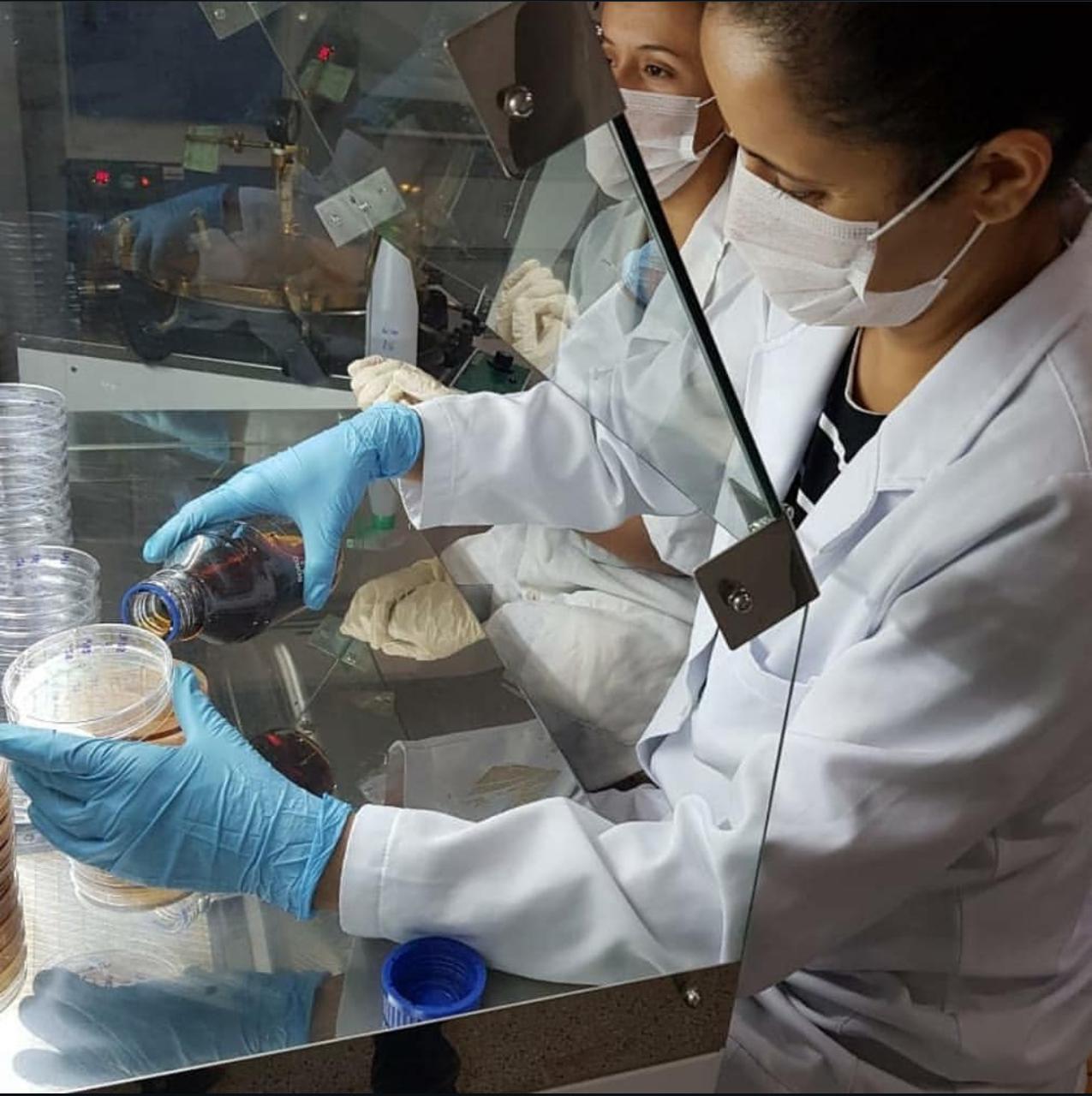 Forage conservation experiment